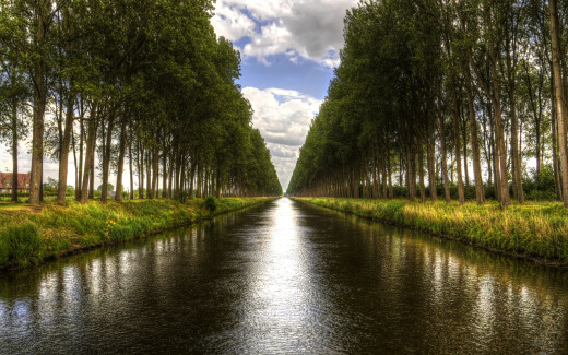 495472 (a): :2560x1600